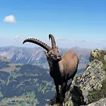 Finala Apartamento *