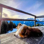Finala